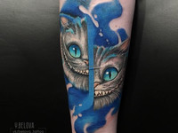 Кот пополам цветной реализм
